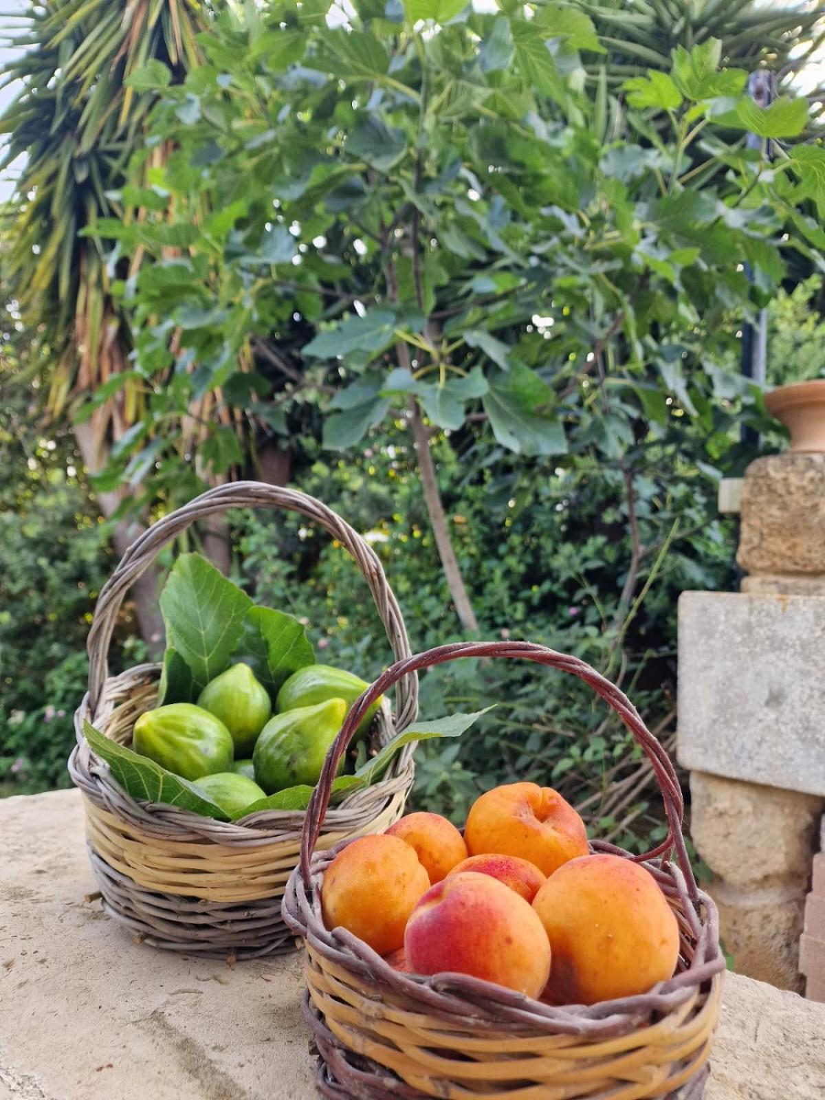 Masseria Vivi Il Salento サンタ・カテリーナ エクステリア 写真