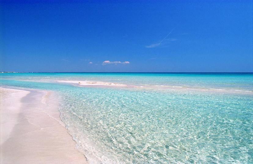 Masseria Vivi Il Salento サンタ・カテリーナ エクステリア 写真