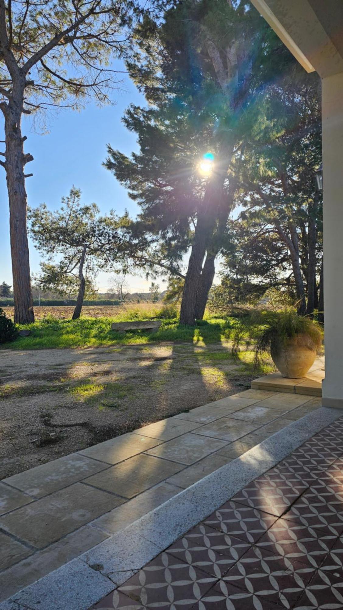 Masseria Vivi Il Salento サンタ・カテリーナ エクステリア 写真